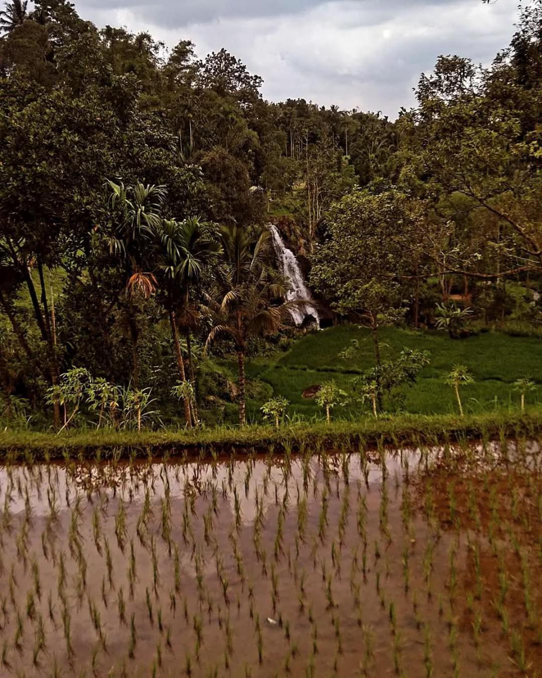 Hotel Satu Lingkung Tetebatu Exterior foto