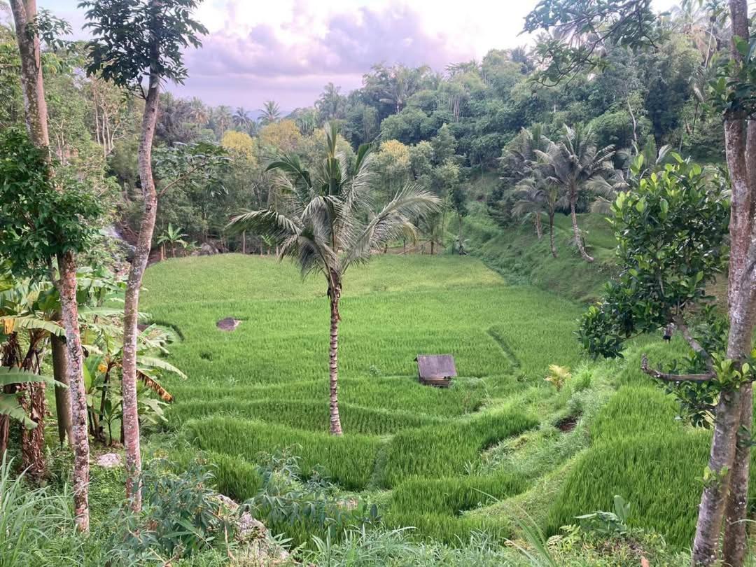 Hotel Satu Lingkung Tetebatu Exterior foto