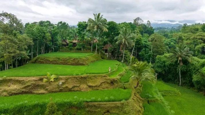 Hotel Satu Lingkung Tetebatu Exterior foto