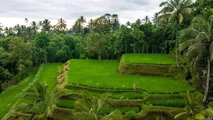 Hotel Satu Lingkung Tetebatu Exterior foto